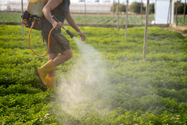 Reliable Cambridge Springs, PA Pest Control Solutions