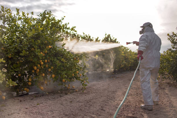 Best Exterminator Services  in Cambridge Springs, PA