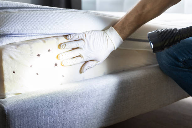 Best Residential Pest Control  in Cambridge Springs, PA
